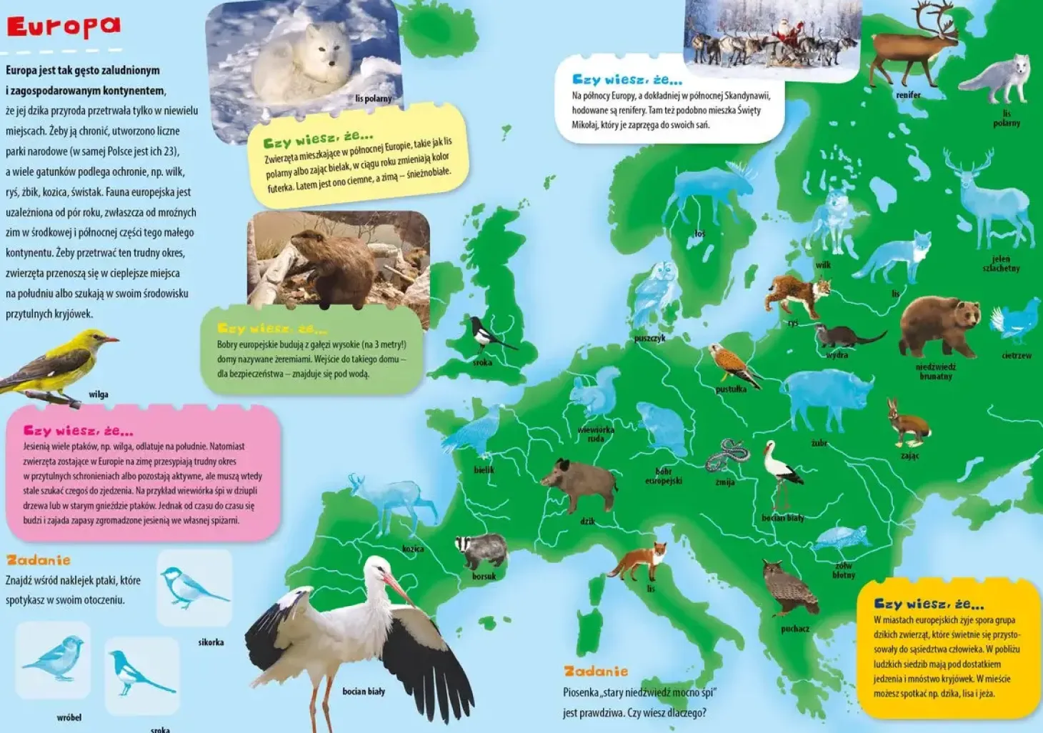 Atlas zwierząt świata z naklejkami i plakatem