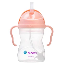 Bidon ze słomką 240 ml, GELATO tutti frutti