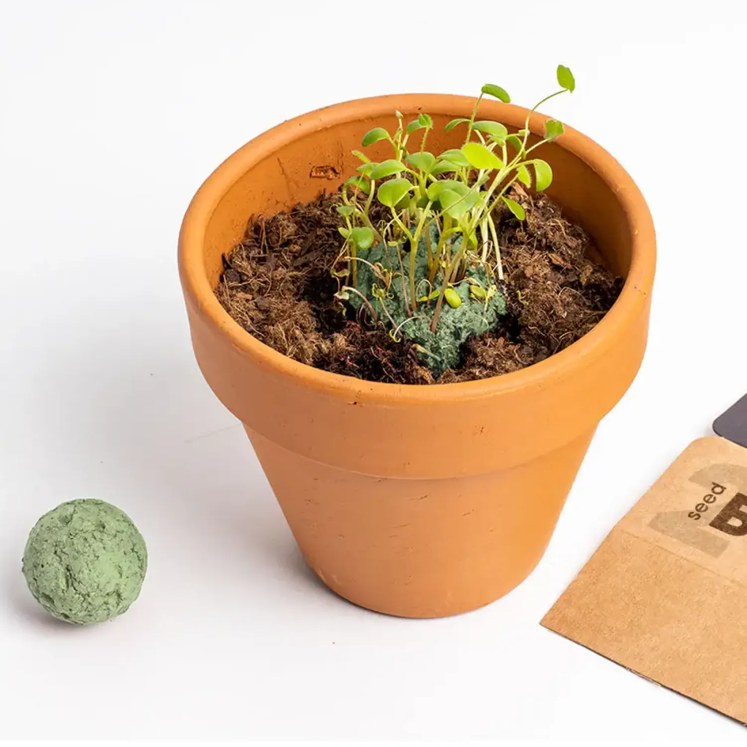 Na Podwórko | Resetea Bomby nasienne - Mediterranean Garden, 2szt.