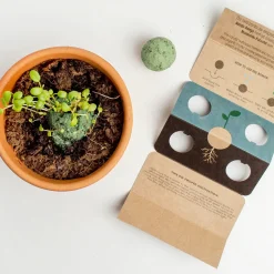 Na Podwórko | Resetea Bomby nasienne - Mediterranean Garden, 2szt.
