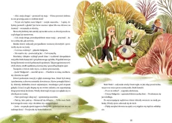 5-8 Lat|2-5 Lat | Wydawnictwo Zielona Sowa Bracia Grimm. Najpiękniejsze baśnie