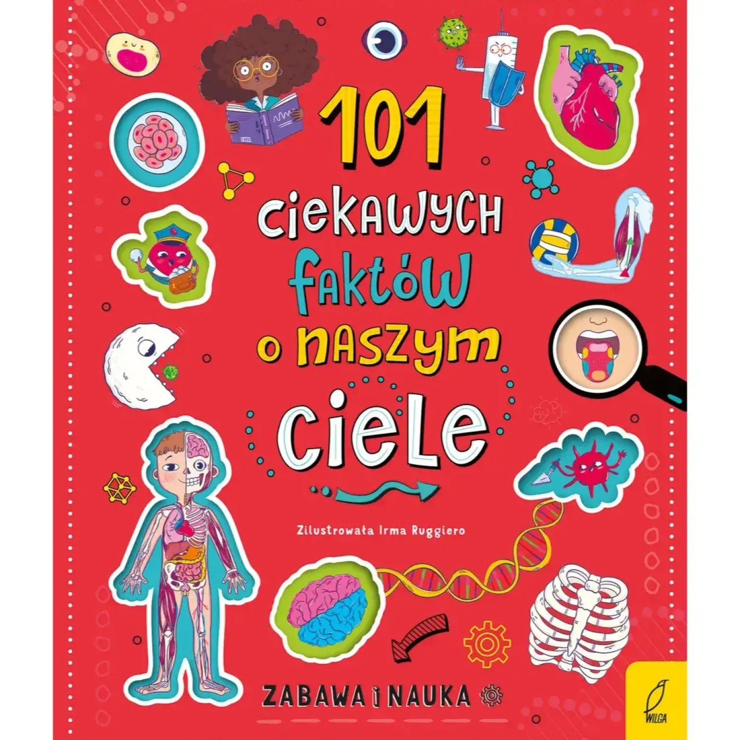 9 Lat +|5-8 Lat | Wydawnictwo Wilga 101 ciekawych faktów o naszym ciele