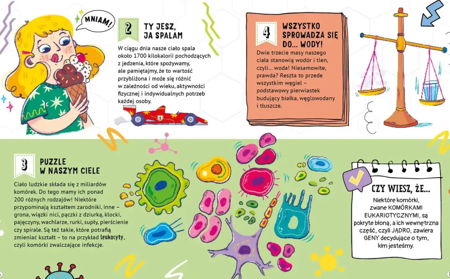 9 Lat +|5-8 Lat | Wydawnictwo Wilga 101 ciekawych faktów o naszym ciele