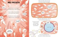 2-5 Lat|0-2 Lat | HarperCollins Cuda w ciele. Opowieści 5 minut przed snem