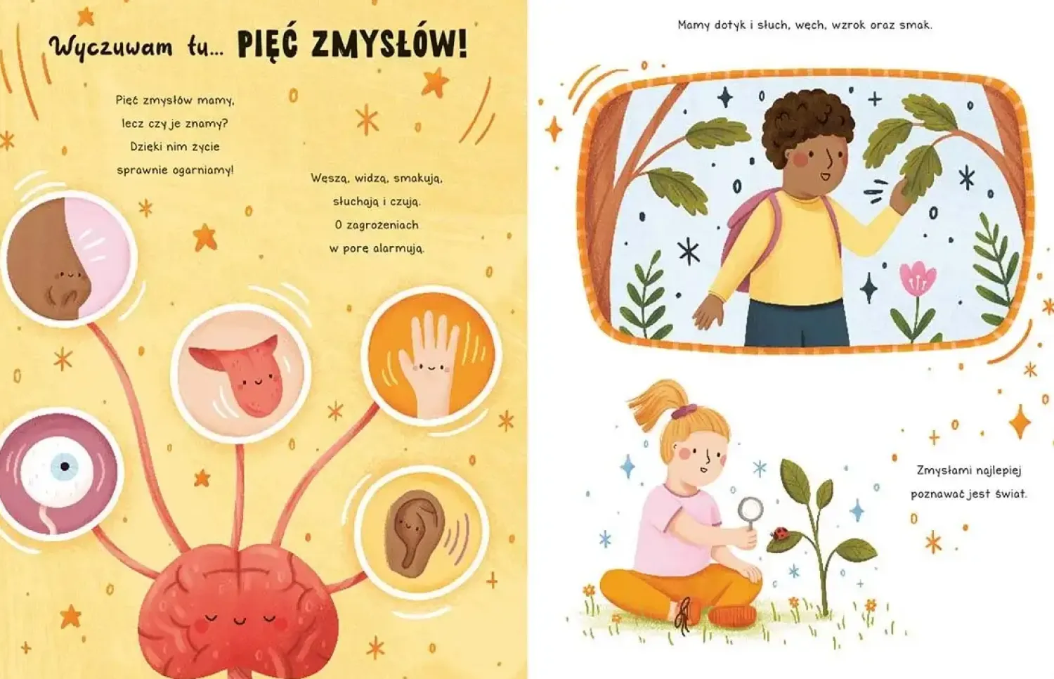 2-5 Lat|0-2 Lat | HarperCollins Cuda w ciele. Opowieści 5 minut przed snem