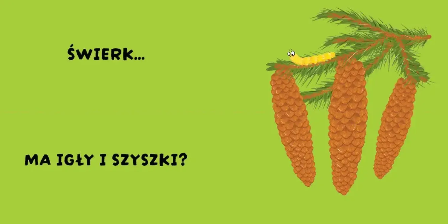 0-2 Lat | Wydawnictwo Wilga Czy to pasuje? Rośliny