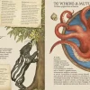 9 Lat +|5-8 Lat | HarperCollins Historia naturalna stworzeń magicznych