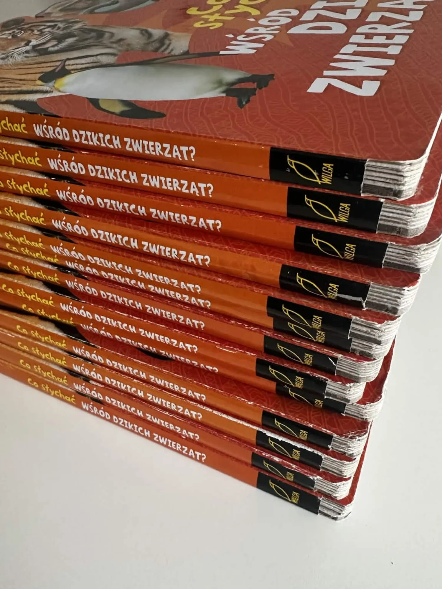 2-5 Lat | Wydawnictwo Wilga II GATUNEK: Co słychać wśród dzikich zwierzą?
