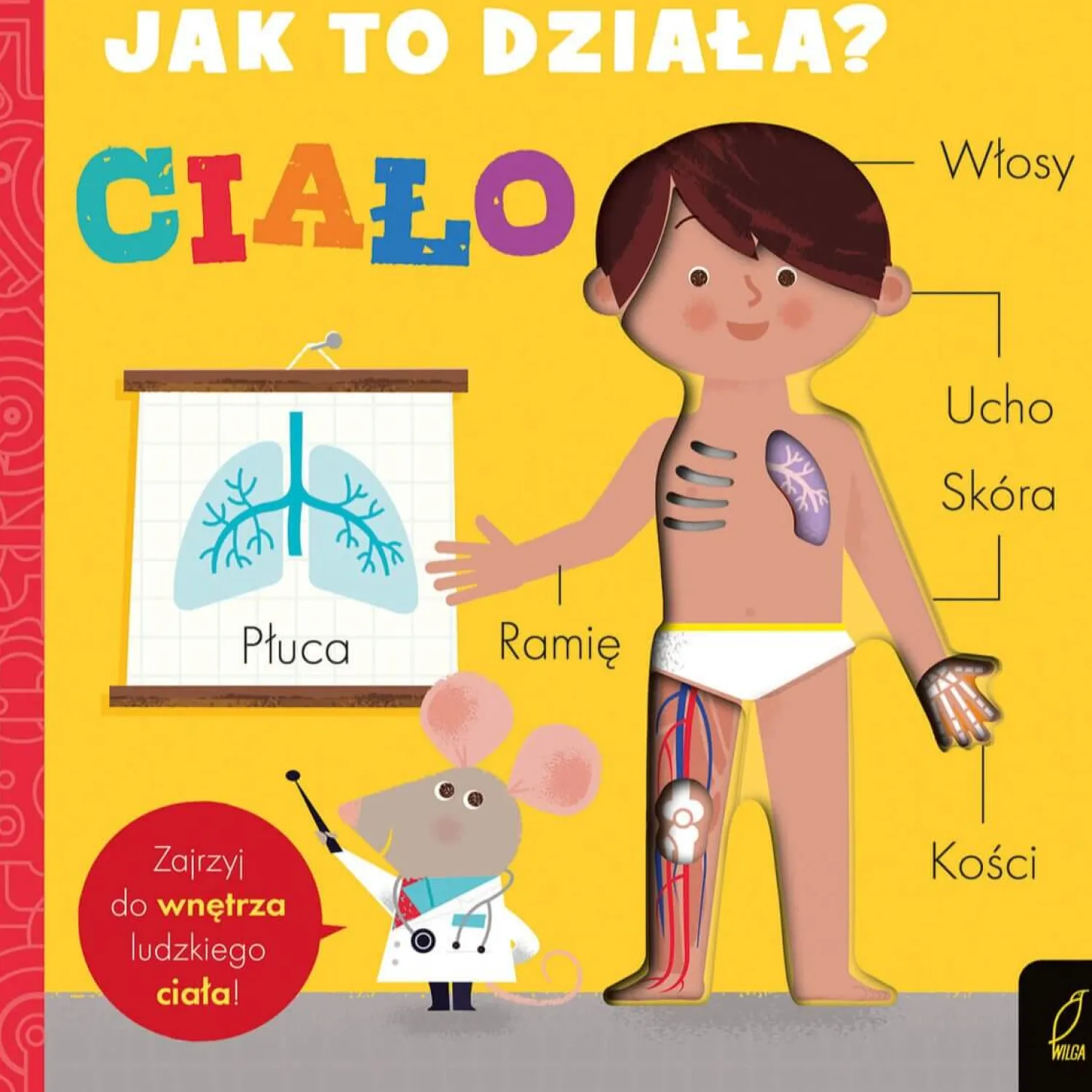 2-5 Lat|0-2 Lat | Wydawnictwo Wilga Jak to działa? CIAŁO