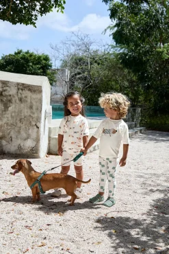 Stroje Kąpielowe|Stroje Kąpielowe | Lassig Kombinezon do pływania z krótkim rękawem UV60 Beach Dog - Orange, dark sea