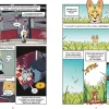 9 Lat +|5-8 Lat | Wydawnictwo Nasza Księgarnia Koty - natura i wychowanie