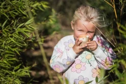 Idealne W Podróży|6 Lat+ | The Zoofamily Krótkofalówki dla dzieci Zoo Walkie Talkie - Fox, Fox