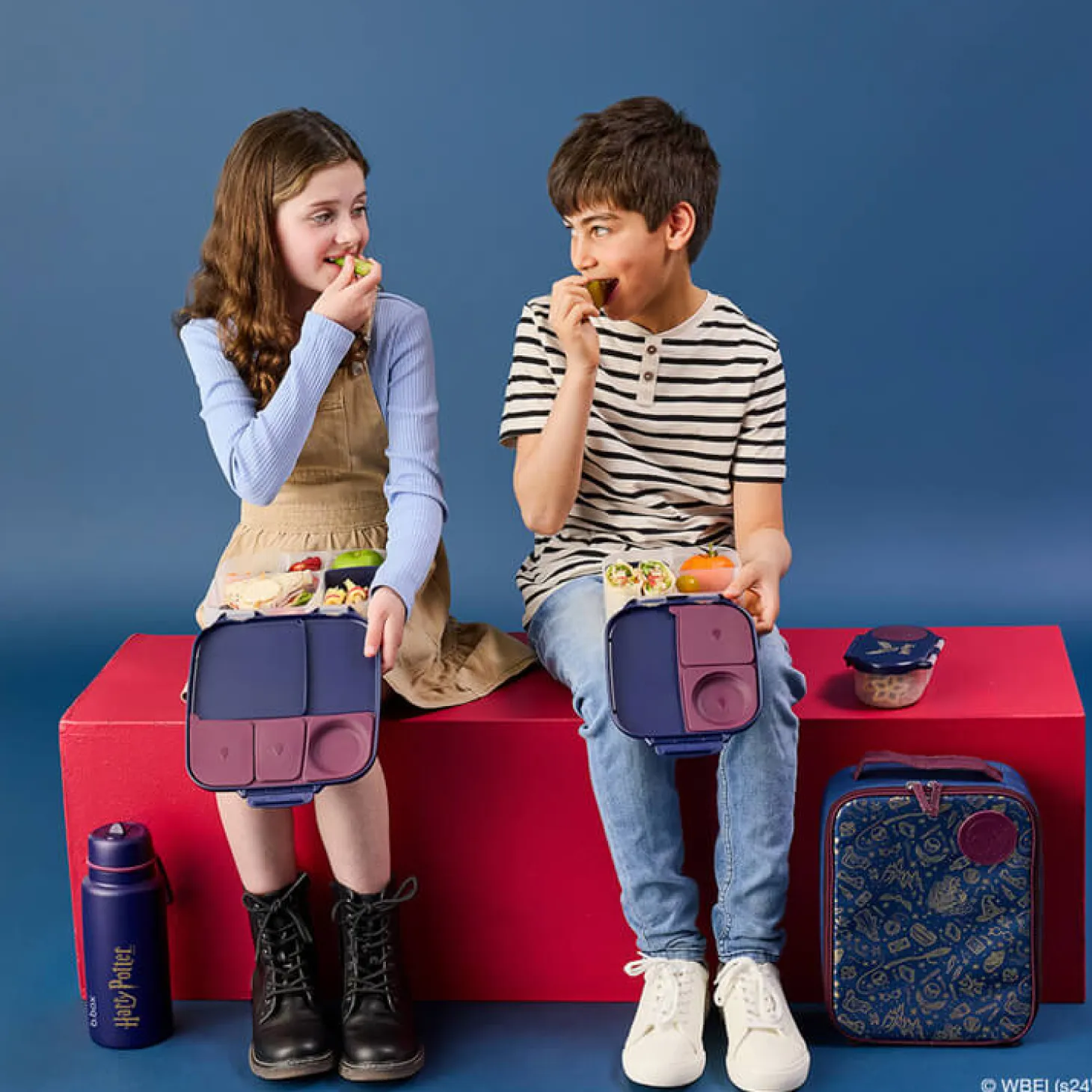 Lunchbox - Harry Potter