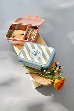 Lunchboxy|Przechowywanie Jedzenia | Lassig Lunchbox ze stali nierdzewnej Sunny Explorer rose & pink