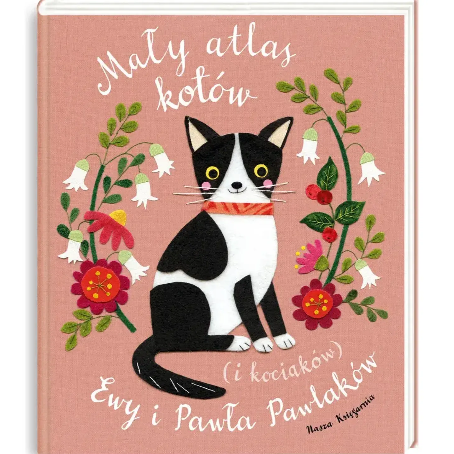 Mały atlas kotów (i kociaków) Ewy i Pawła Pawlaków