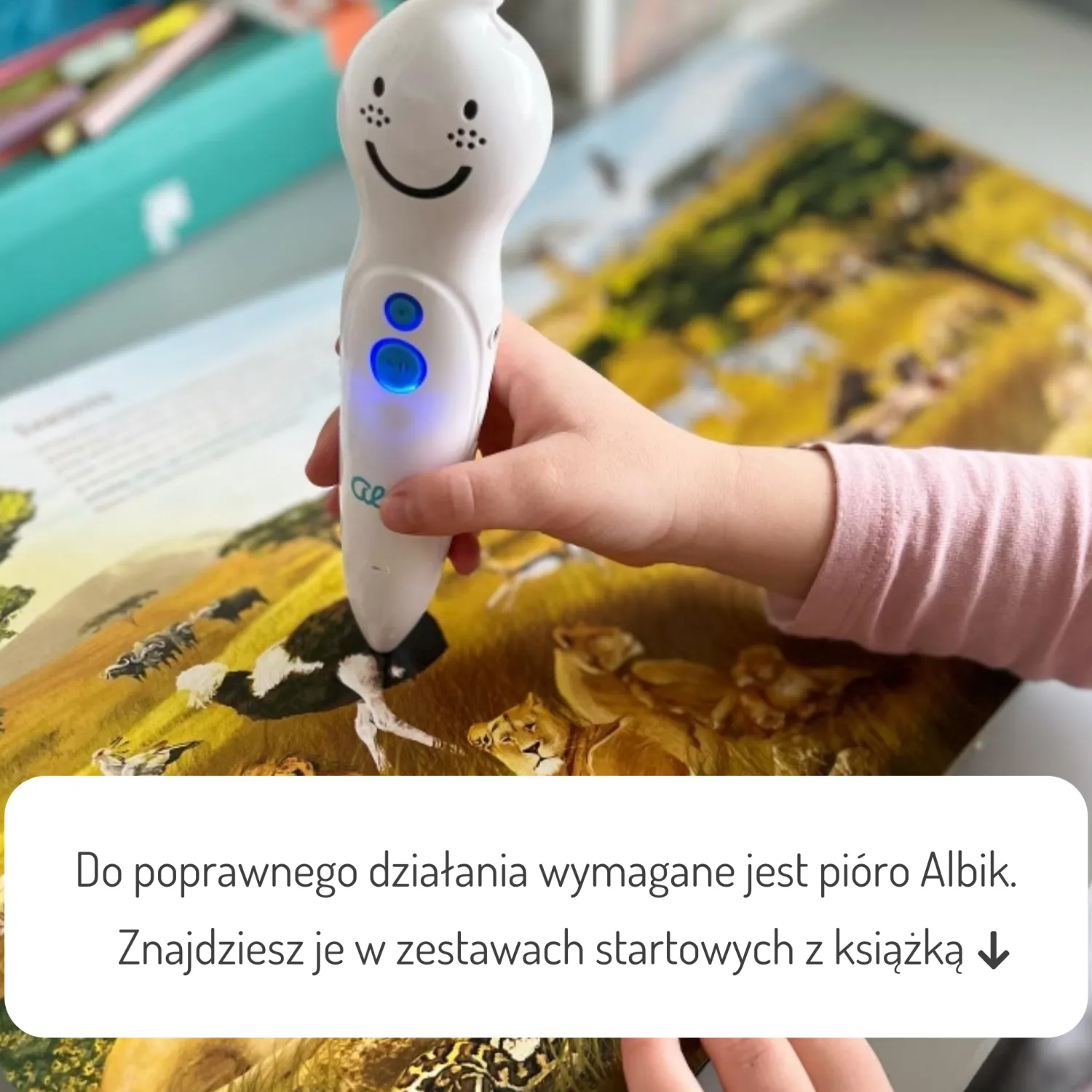 Albi | Albi Memo - Zwierzęta 3+