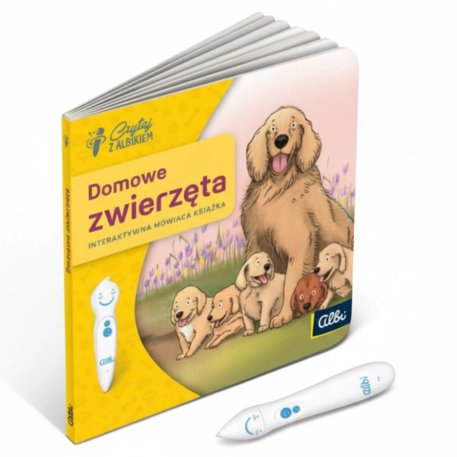 Mini książka Domowe zwierzęta 2+