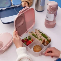 Mini lunchbox - Blush Crush