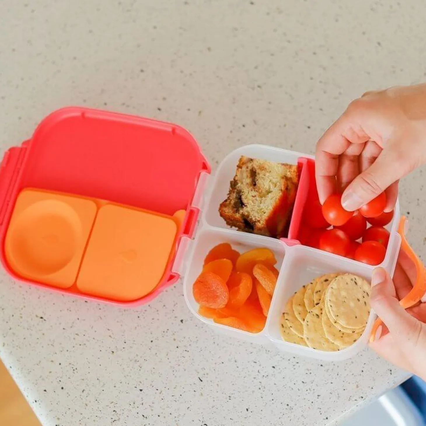 Mini lunchbox - Emerald Forest