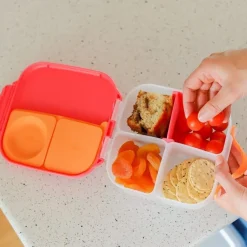 Lunchboxy|Przechowywanie Jedzenia | b.box Mini lunchbox - Indigo Rose