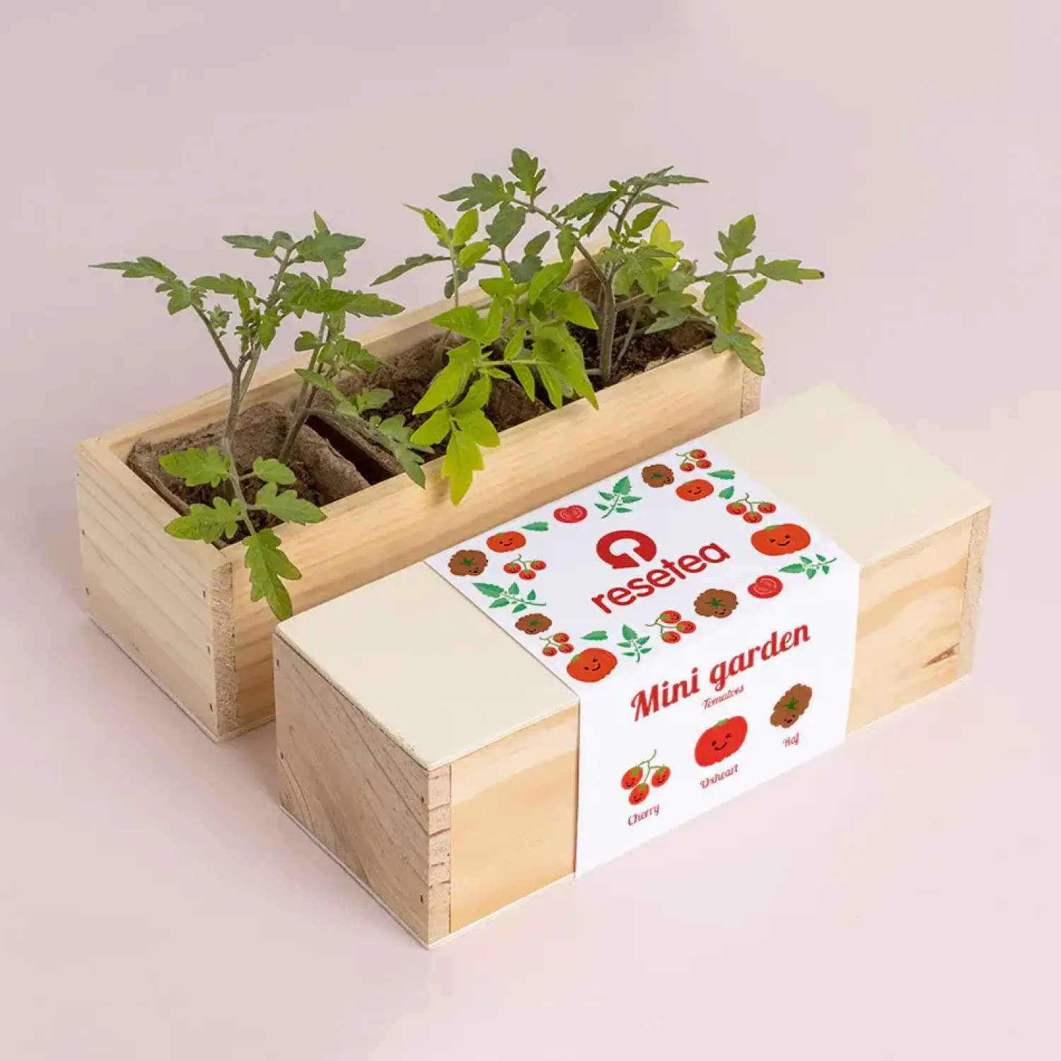 Na Podwórko | Resetea Mini ogród - Pomidory