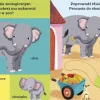 Ruchome Elementy|0-2 Lat | Wydawnictwo Wilga Miś Pracuś. Przesuń paluszkiem. W zoo