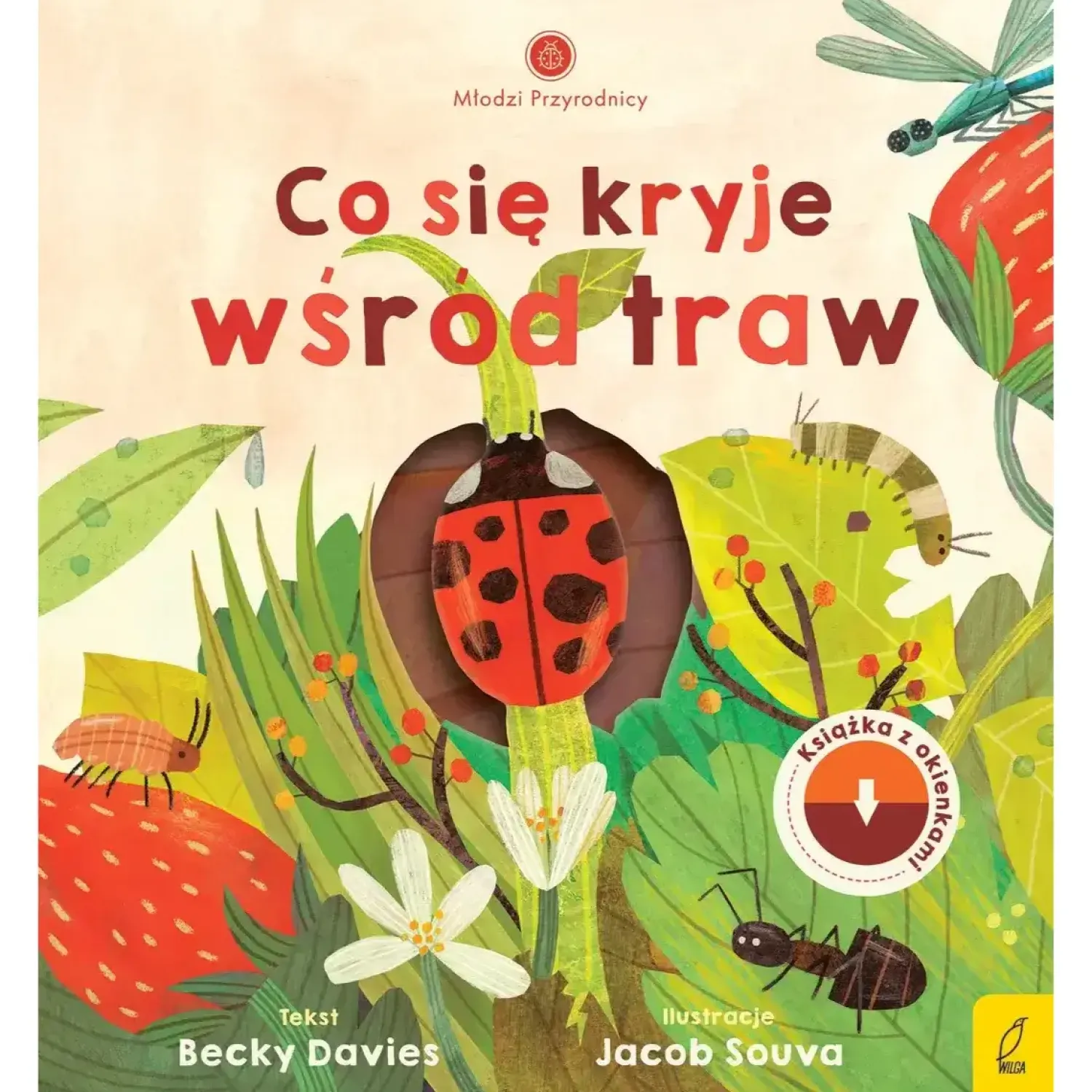 5-8 Lat | Wydawnictwo Wilga Młodzi przyrodnicy. Co się kryje wśród traw