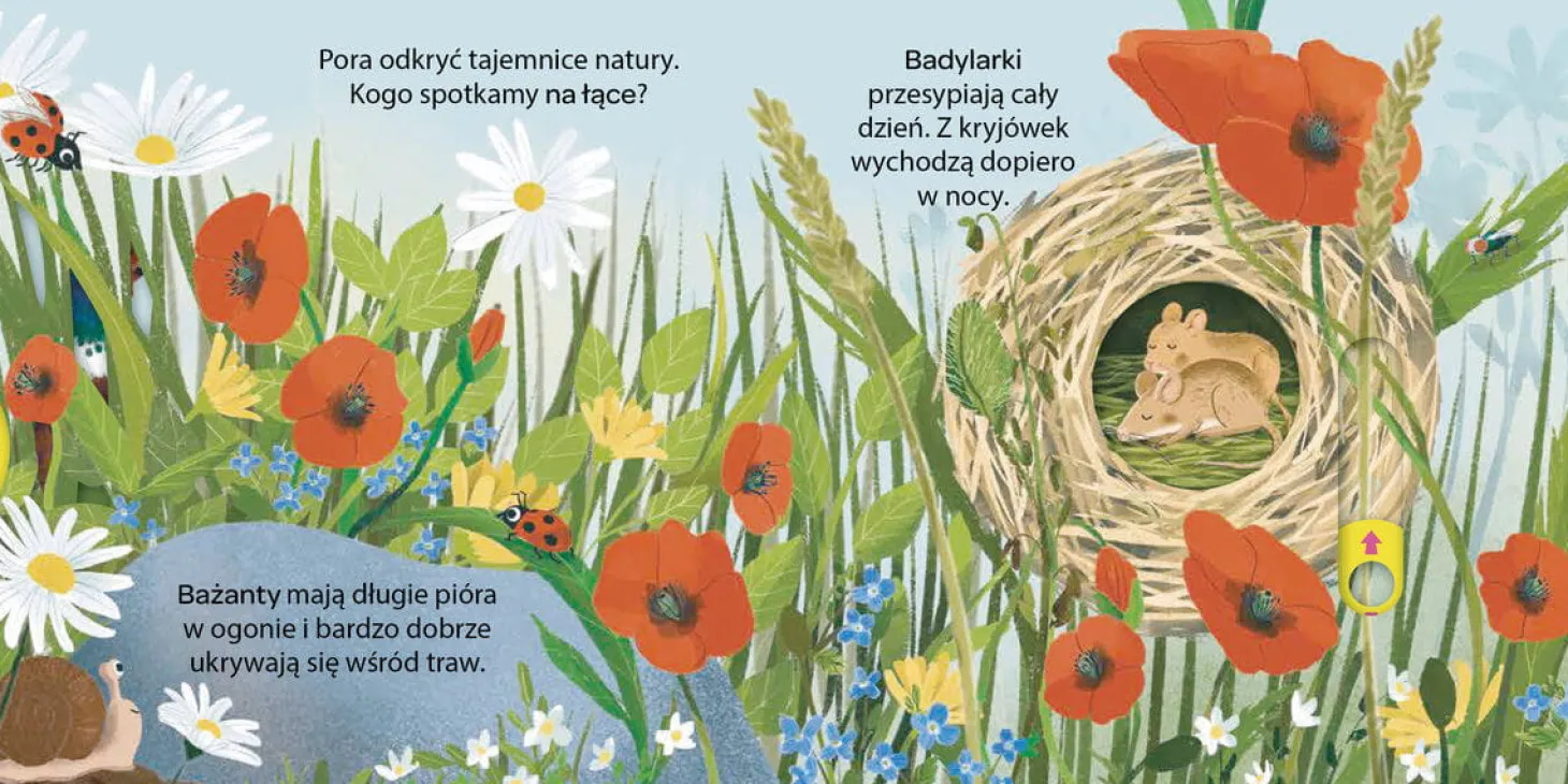 Młodzi przyrodnicy. Na łące