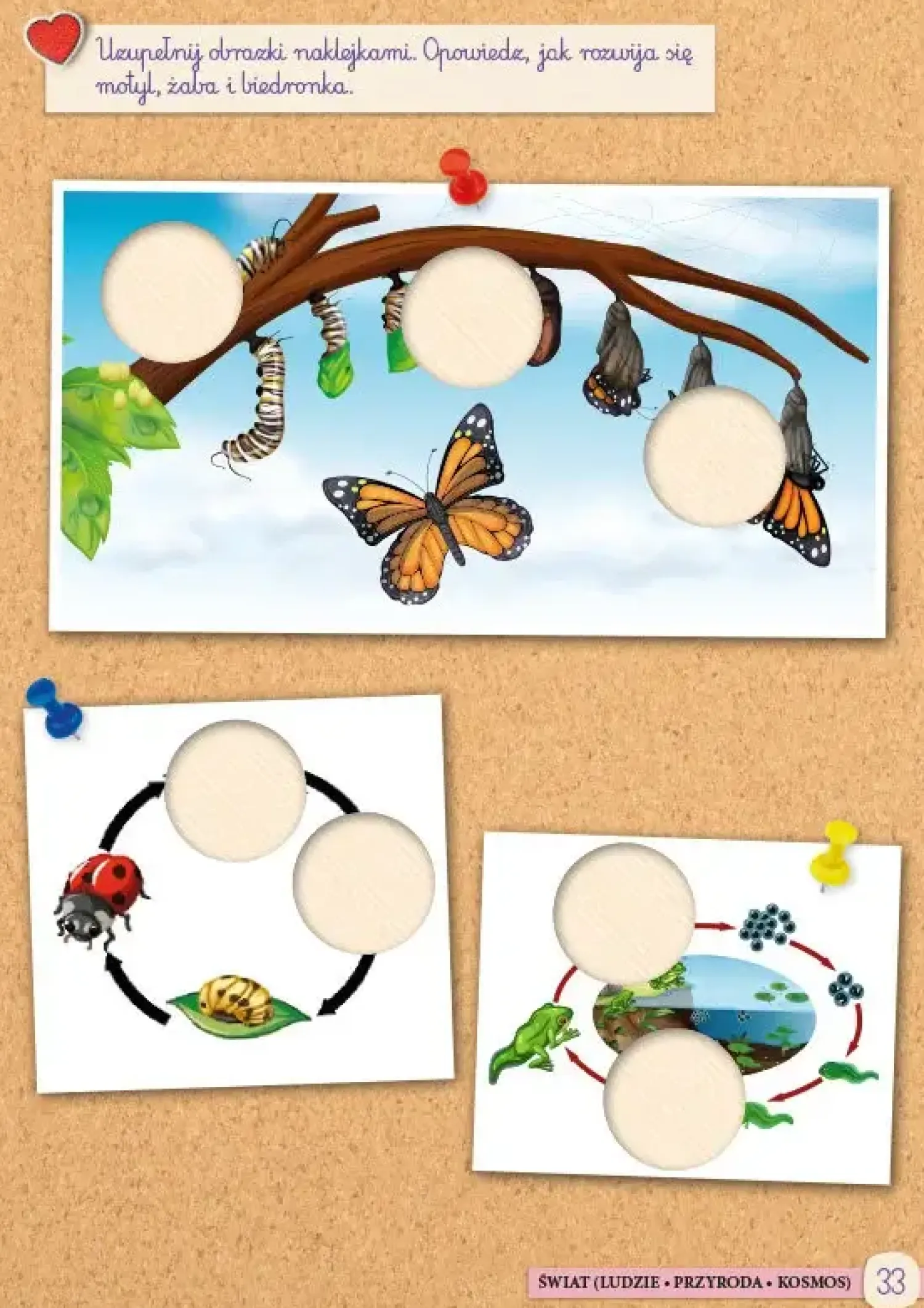 5-8 Lat|2-5 Lat | Wydawnictwo Demart Moja książka Montessori 5-latka