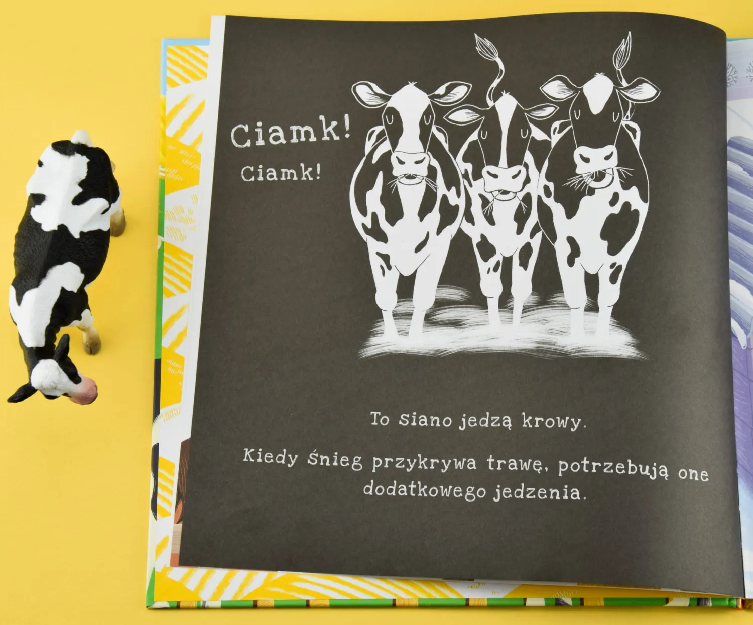 5-8 Lat|2-5 Lat | Api Papi Na farmie. Podświetl i Odkryj