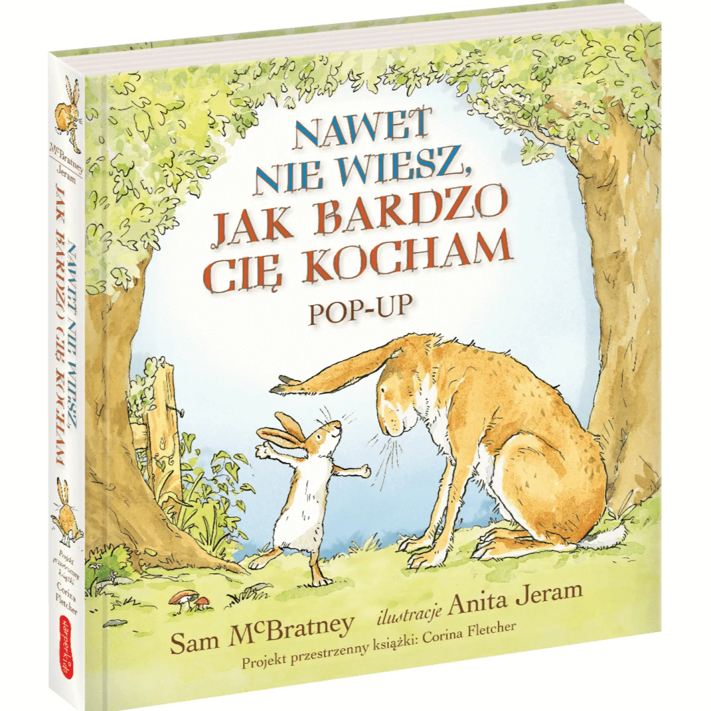 Nawet nie wiesz, jak bardzo Cię kocham. Pop-up