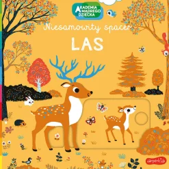Niesamowity spacer. Las. Akademia mądrego dziecka