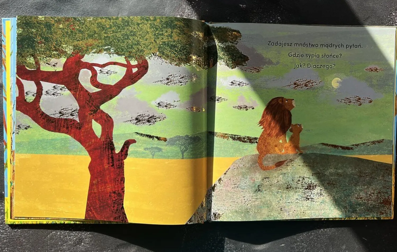 Oswajanie Emocji|2-5 Lat | HarperCollins Od kiedy jestem twoim dziadkiem