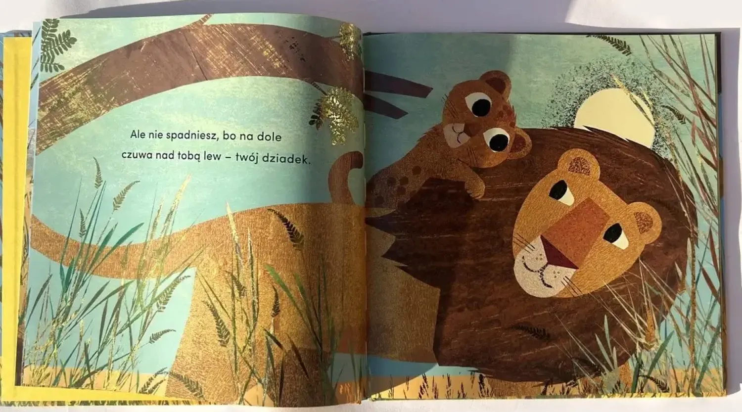 Oswajanie Emocji|2-5 Lat | HarperCollins Od kiedy jestem twoim dziadkiem