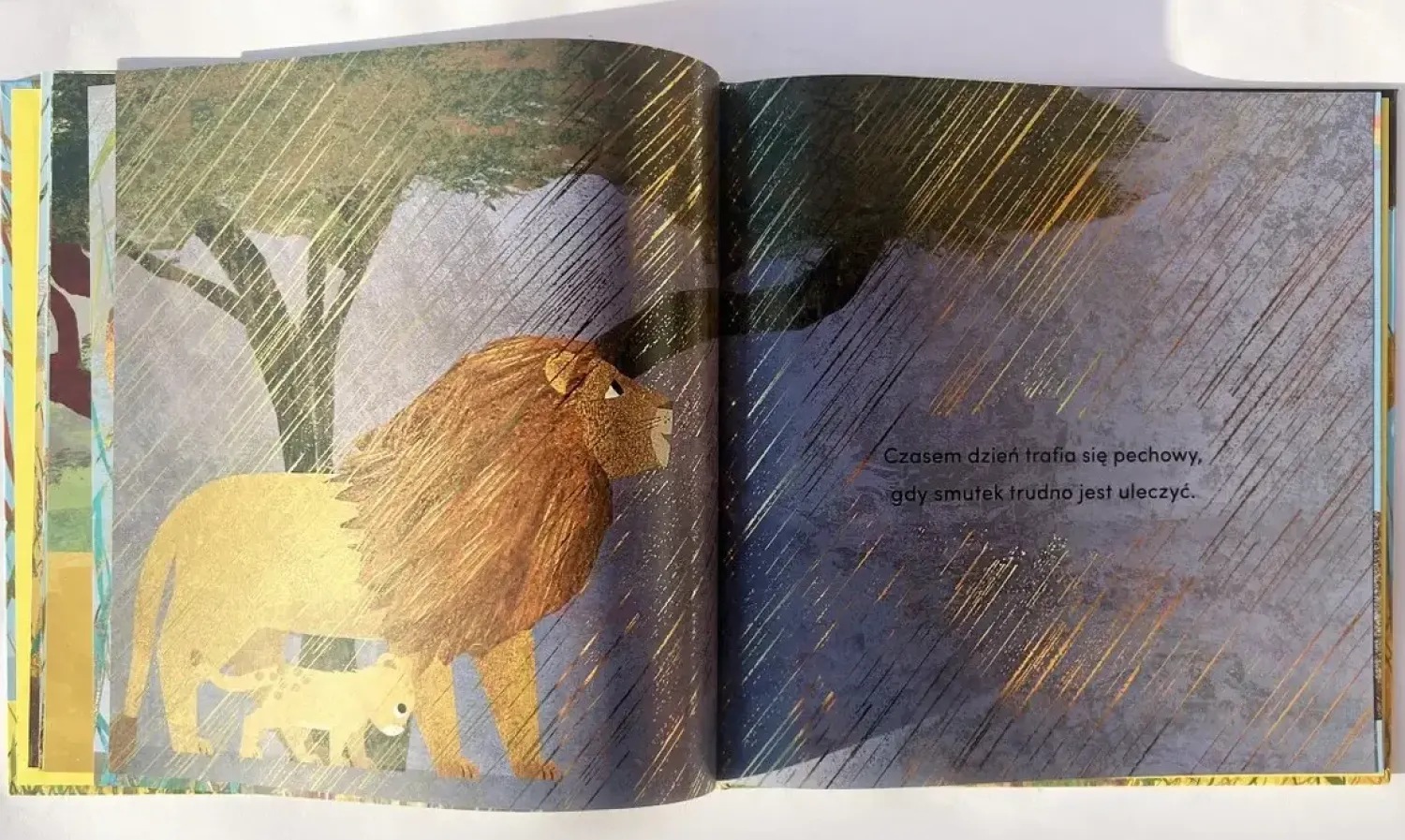Oswajanie Emocji|2-5 Lat | HarperCollins Od kiedy jestem twoim dziadkiem
