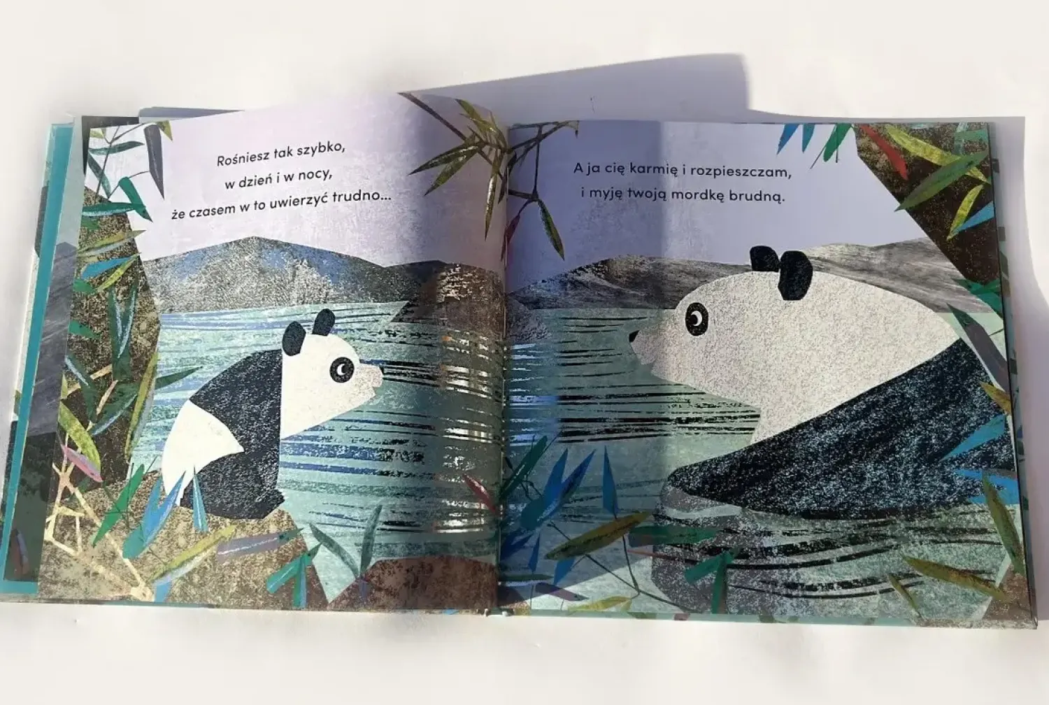 Oswajanie Emocji|2-5 Lat | HarperCollins Od kiedy jestem twoją babcią