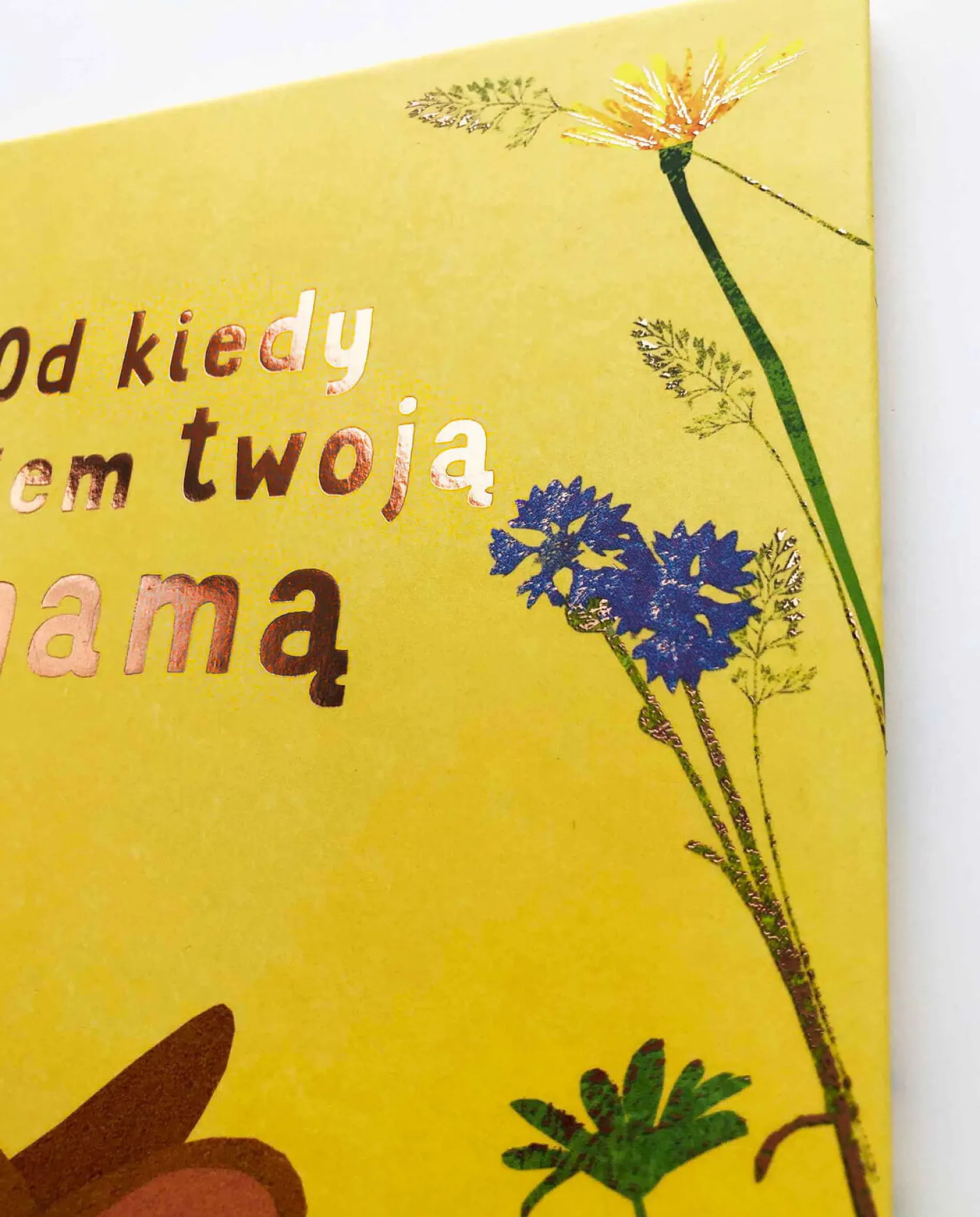 Oswajanie Emocji|2-5 Lat | HarperCollins Od kiedy jestem twoją mamą
