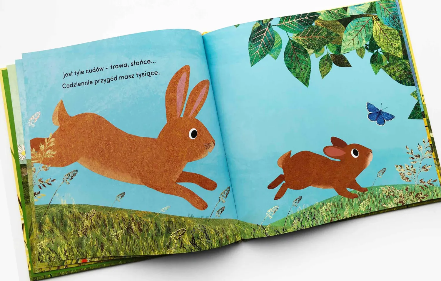 Oswajanie Emocji|2-5 Lat | HarperCollins Od kiedy jestem twoją mamą