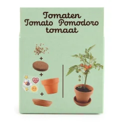 Pomidorki do samodzielnej uprawy My Little Tomatoes