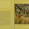5-8 Lat | Wydawnictwo Literatura Porozmawiajmy o sztuce, Tygrysie
