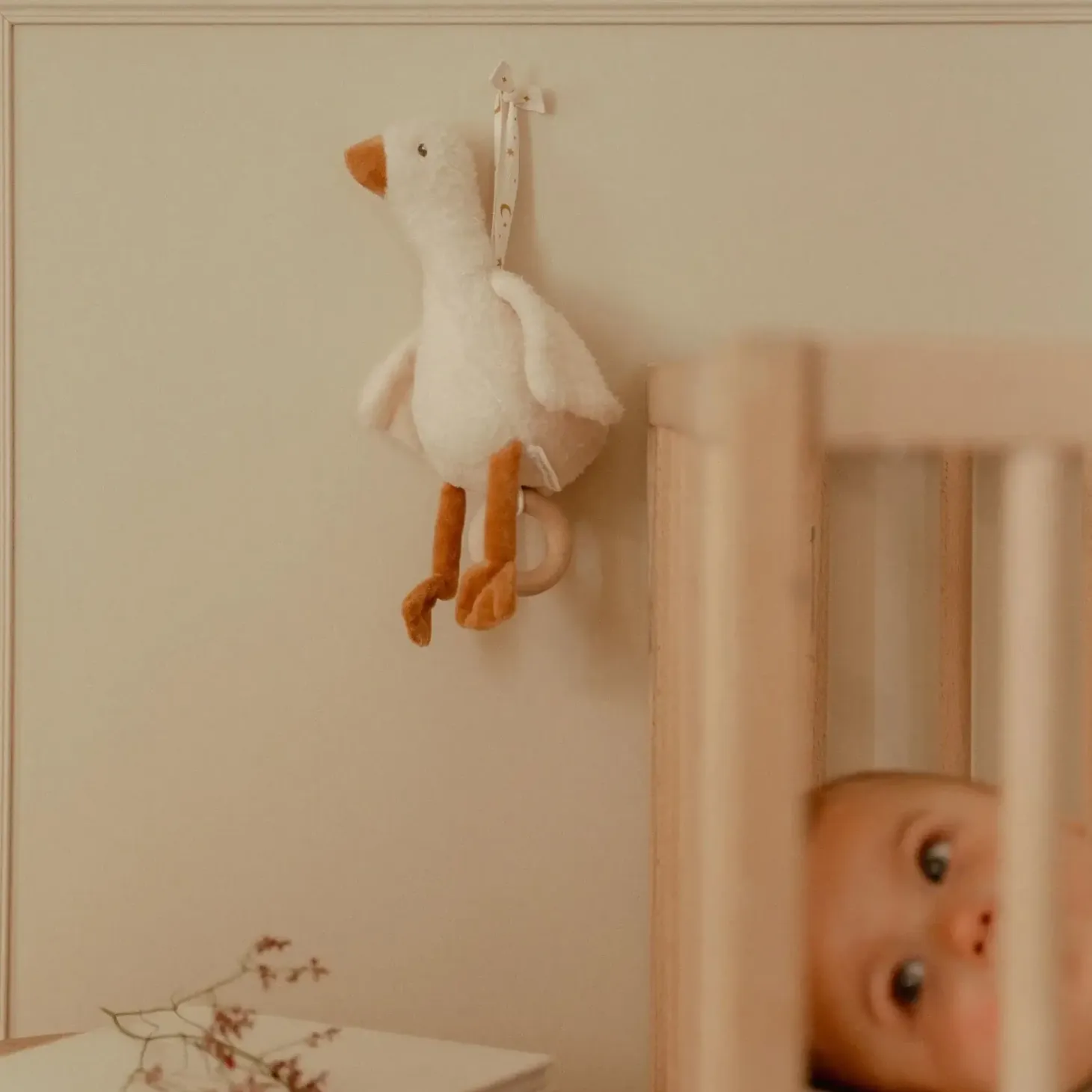 Pozytywka gąska Newborn Naturals