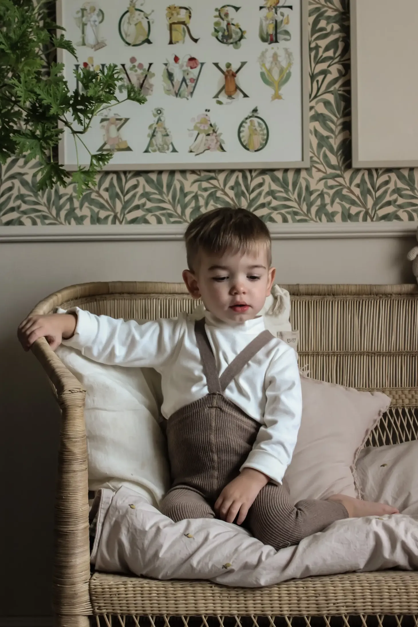 Rajstopki bawełniane bez stópek Footless - Cocoa Blend