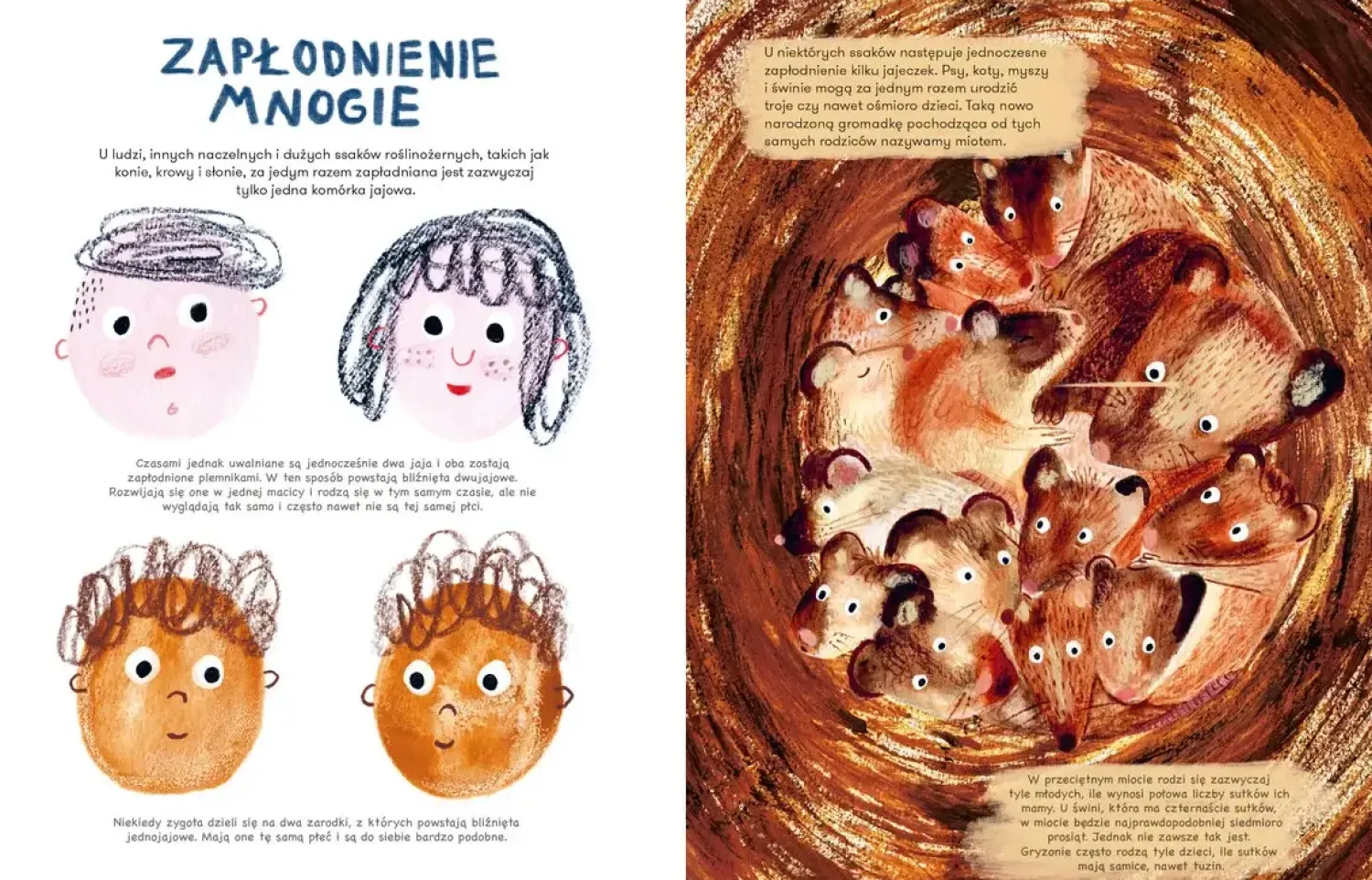 5-8 Lat|2-5 Lat | Wydawnictwo Kropka Ssaki. Jak się rozmnażają i opiekują młodymi