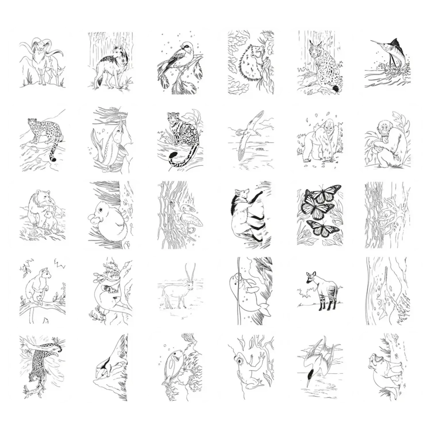 Idealne W Podróży|8 Lat+ | Kidywolf Tablet graficzny z szablonami do rysowania KIDYDRAW-PAD - Animals, 8+