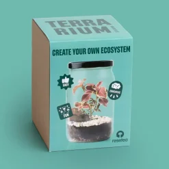 Edukacyjne | Resetea Terrarium w słoiku