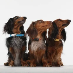 Ultradźwiękowe urządzenie chroniące przed kleszczami TICKLESS® Pet Mini Greek Blue