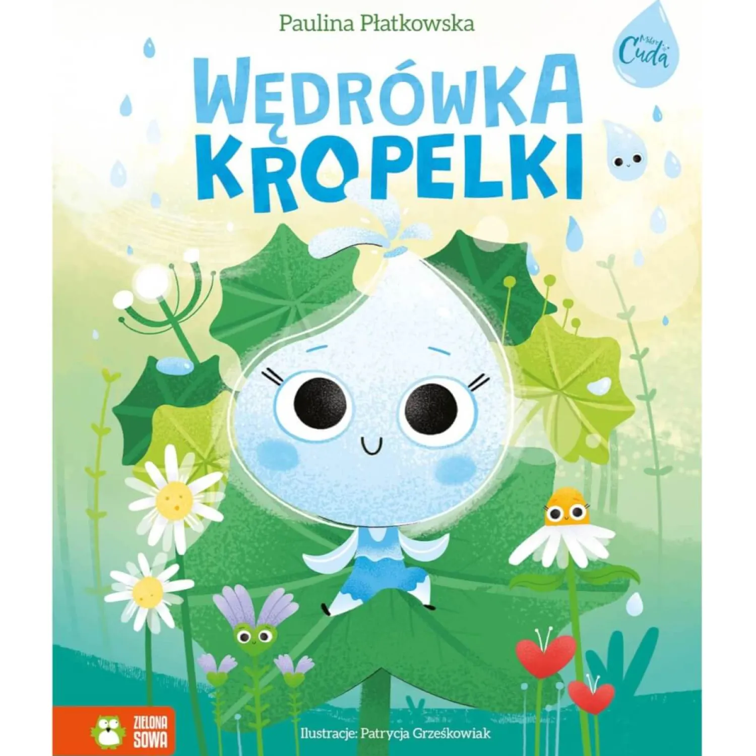 2-5 Lat | Wydawnictwo Zielona Sowa Wędrówka kropelki