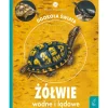 Żółwie wodne i lądowe. Młodzi przyrodnicy