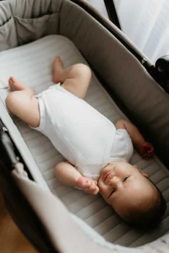 Wkładki Antypotowe|Wkładki Antypotowe | Sleepee Wkładka antypotowa do gondoli - rose