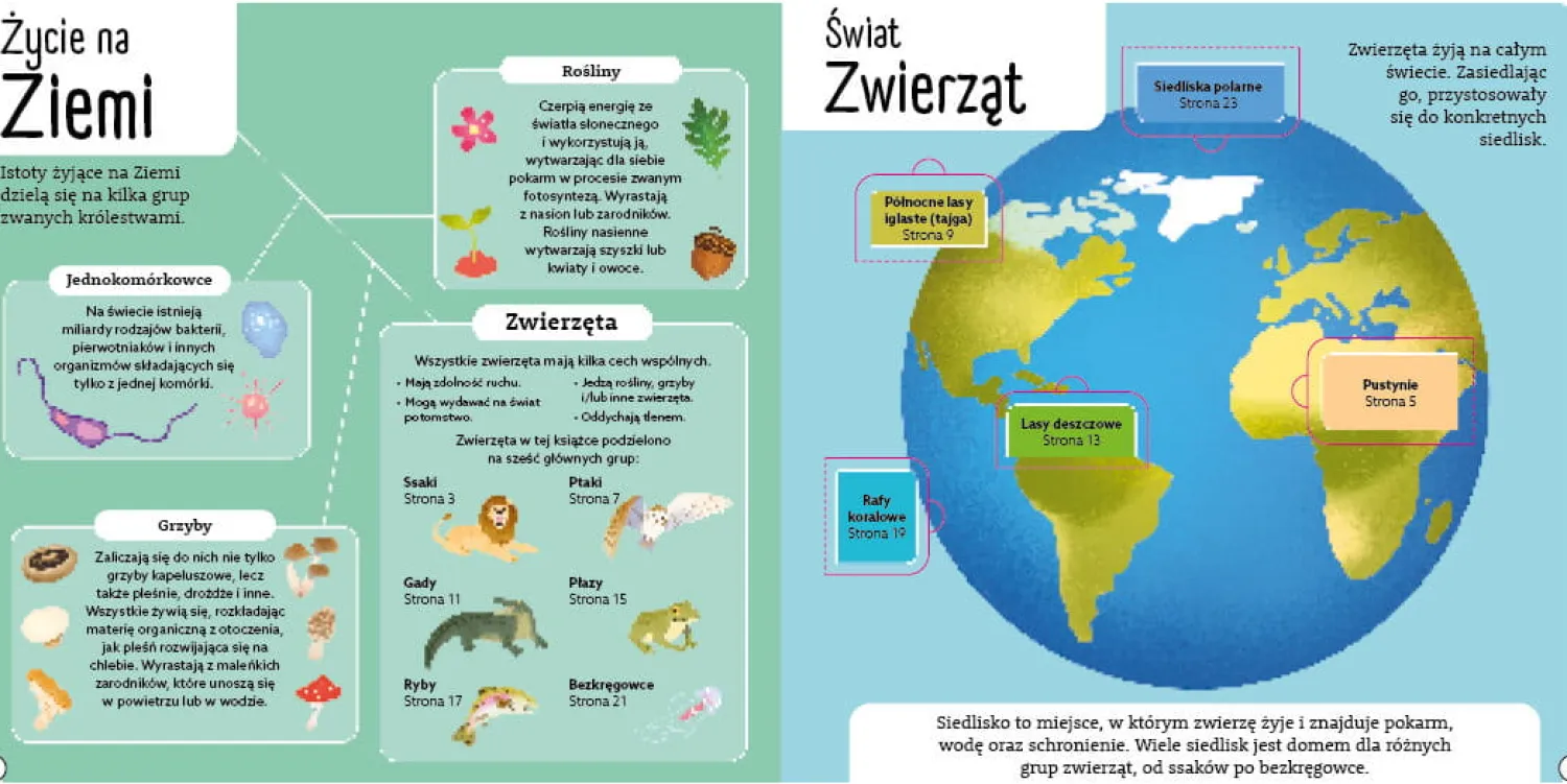 2-5 Lat | Wydawnictwo Wilga Wspaniałe zwierzęta. Otwórz okienko